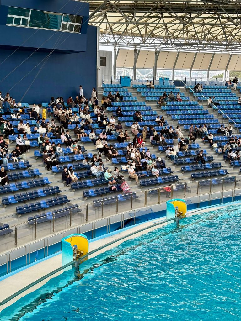 Seats filling up 30 minutes before show starts. Seating area was renovated in March 2025.