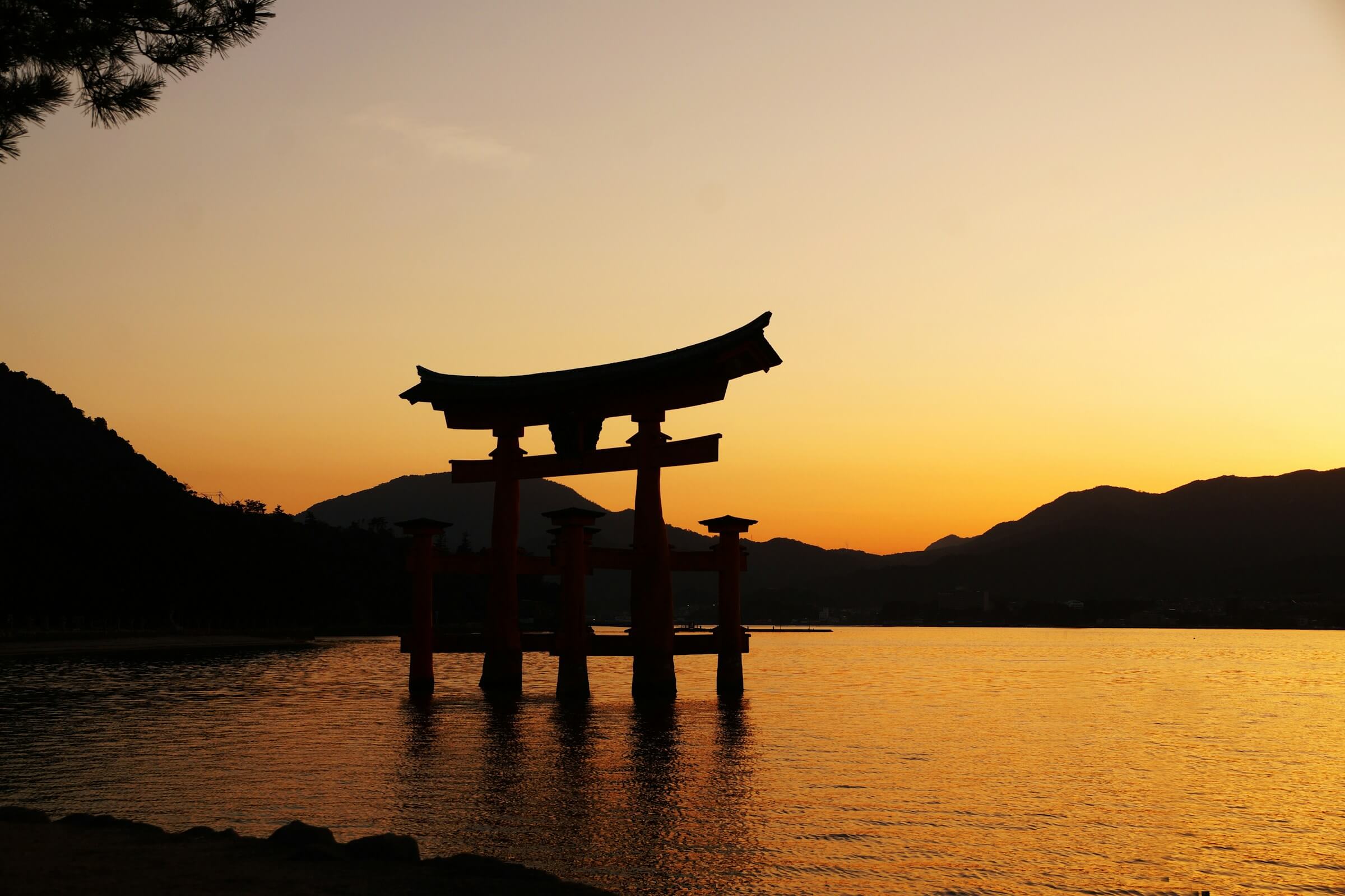 Is Miyajima Worth Visiting In 2024 ExploreJapanNow
