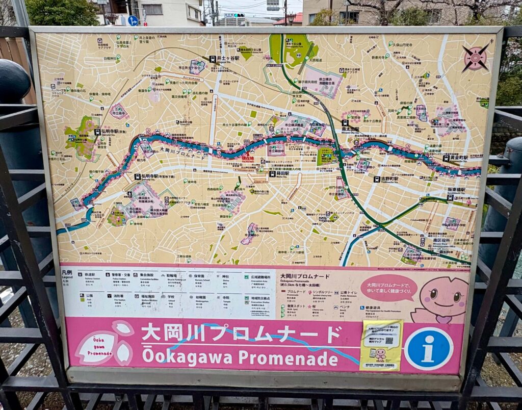 Map of Ookagawa (Ooka River) Promenade with cherry blossom viewing spots dotted