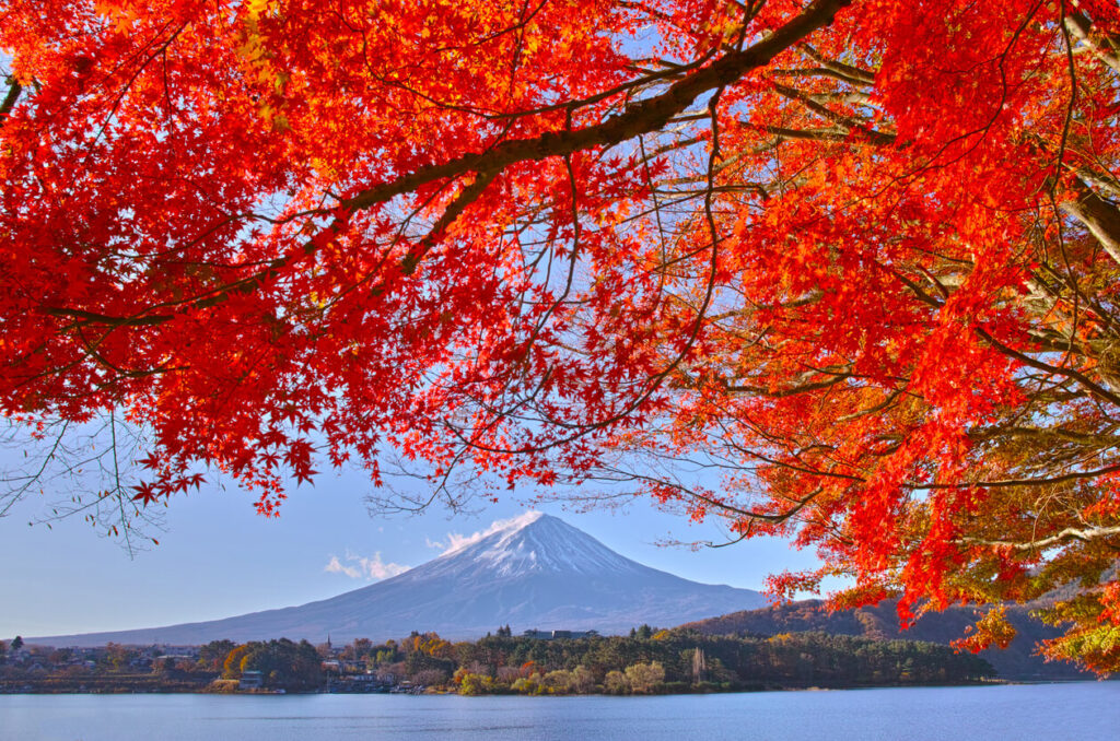 Mt Fuji in Autumn Colours