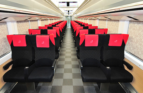 Narita Express - Ordinary Carriage 
