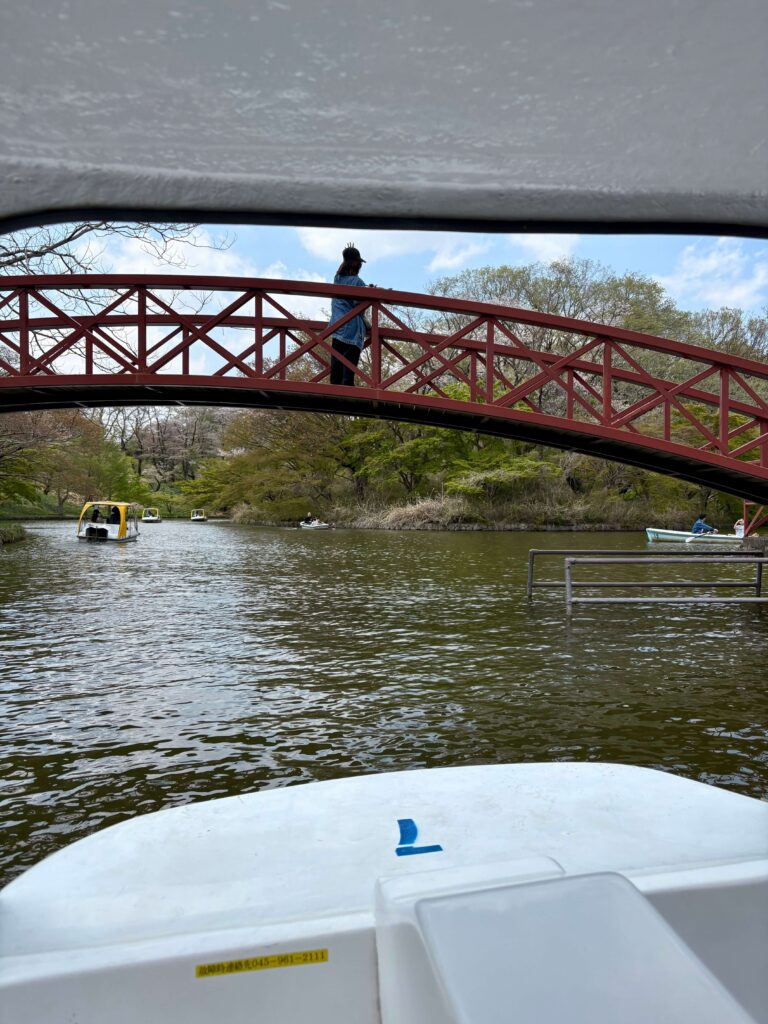 View from inside my pedal boat