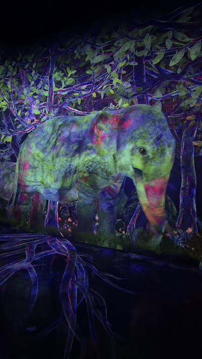 TeamLab Planets digital wonder