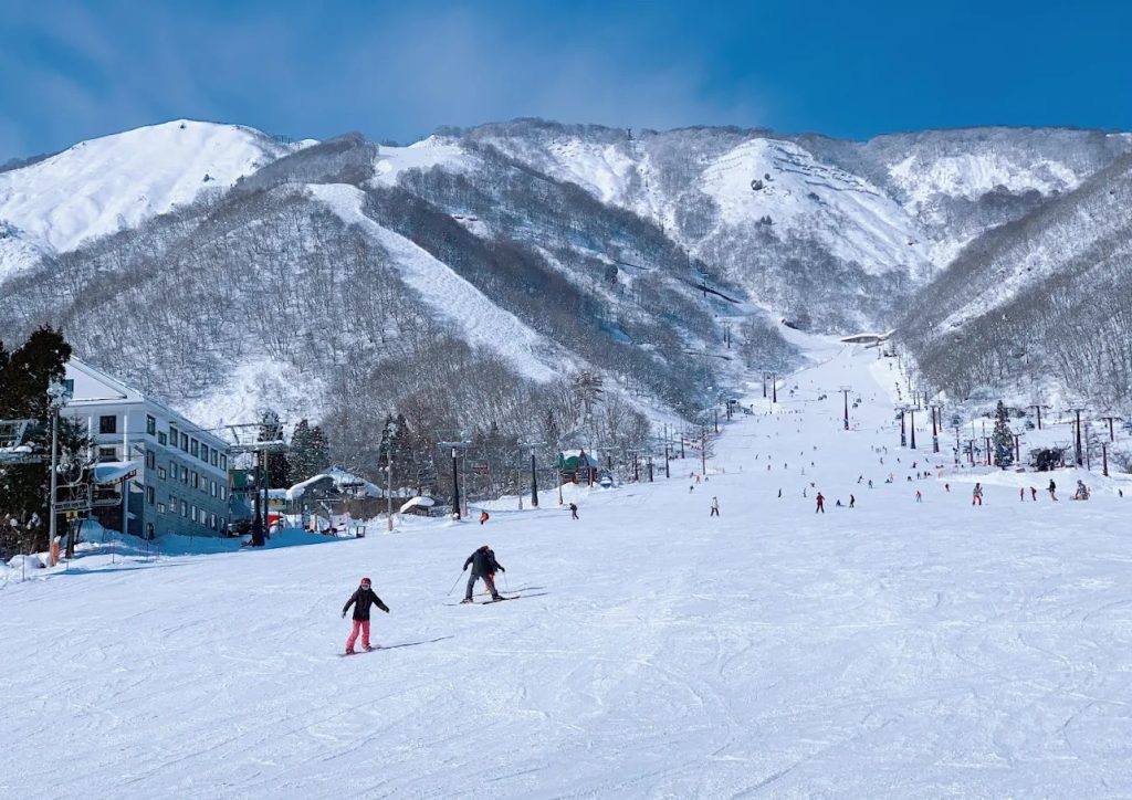 Hakuba Snow
