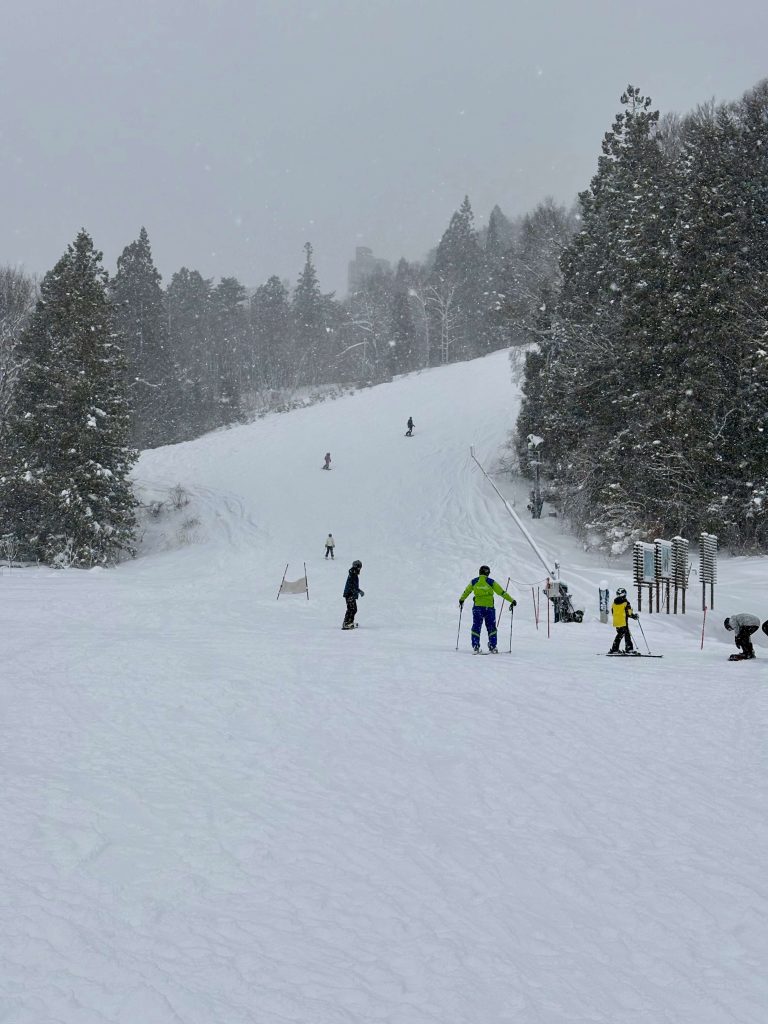 Skiers and snowboarders at Nakiyama, Happo-One Ski Resort, Hakuba, Japan on a snowy day. Thursday 8th of January