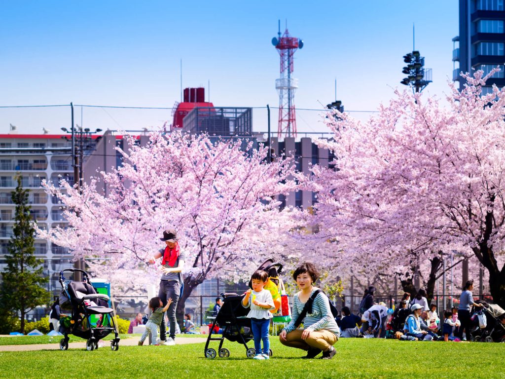 Families enjoying hanami at Kinshi Park, Tokyo