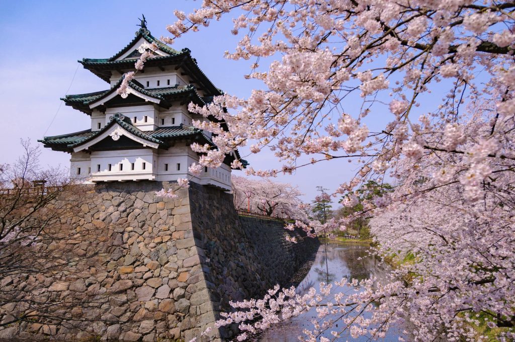 Hirosaki Castle during cherry blossom season