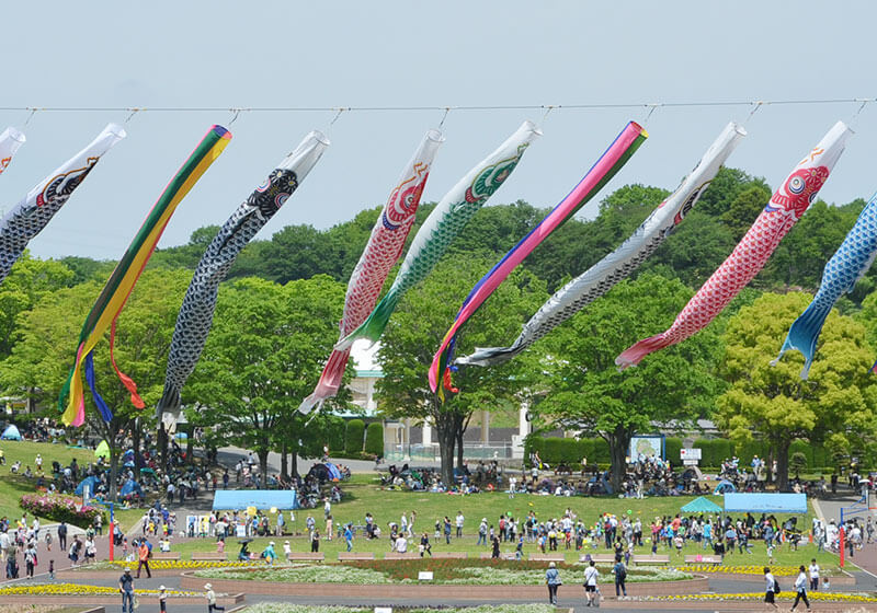 Carp streamers flying at Kodomonokuni