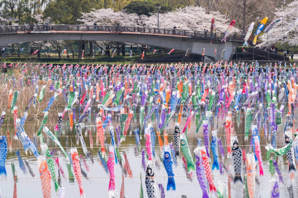 Tatebayashi Koinobori Festival